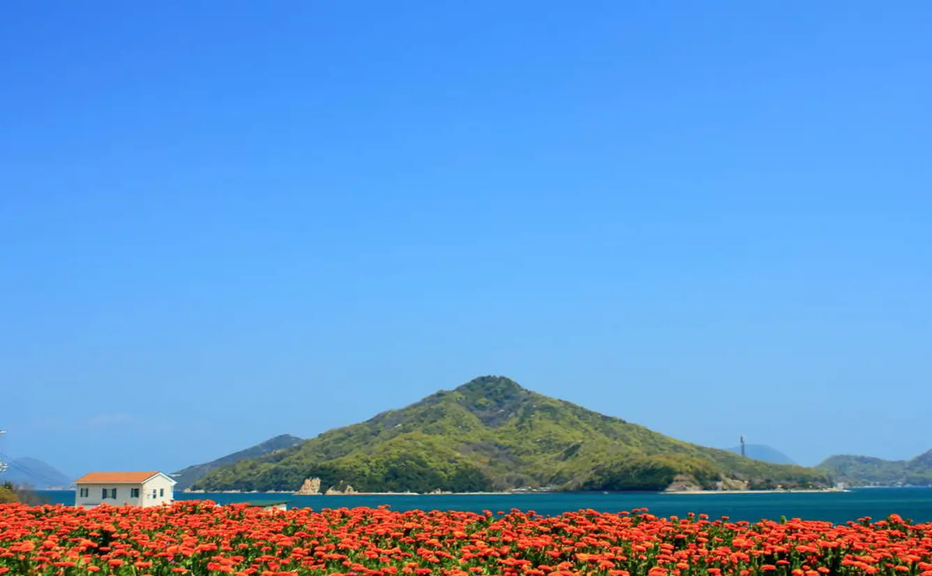 【香川観光】3月はここをチェック！のカバー画像