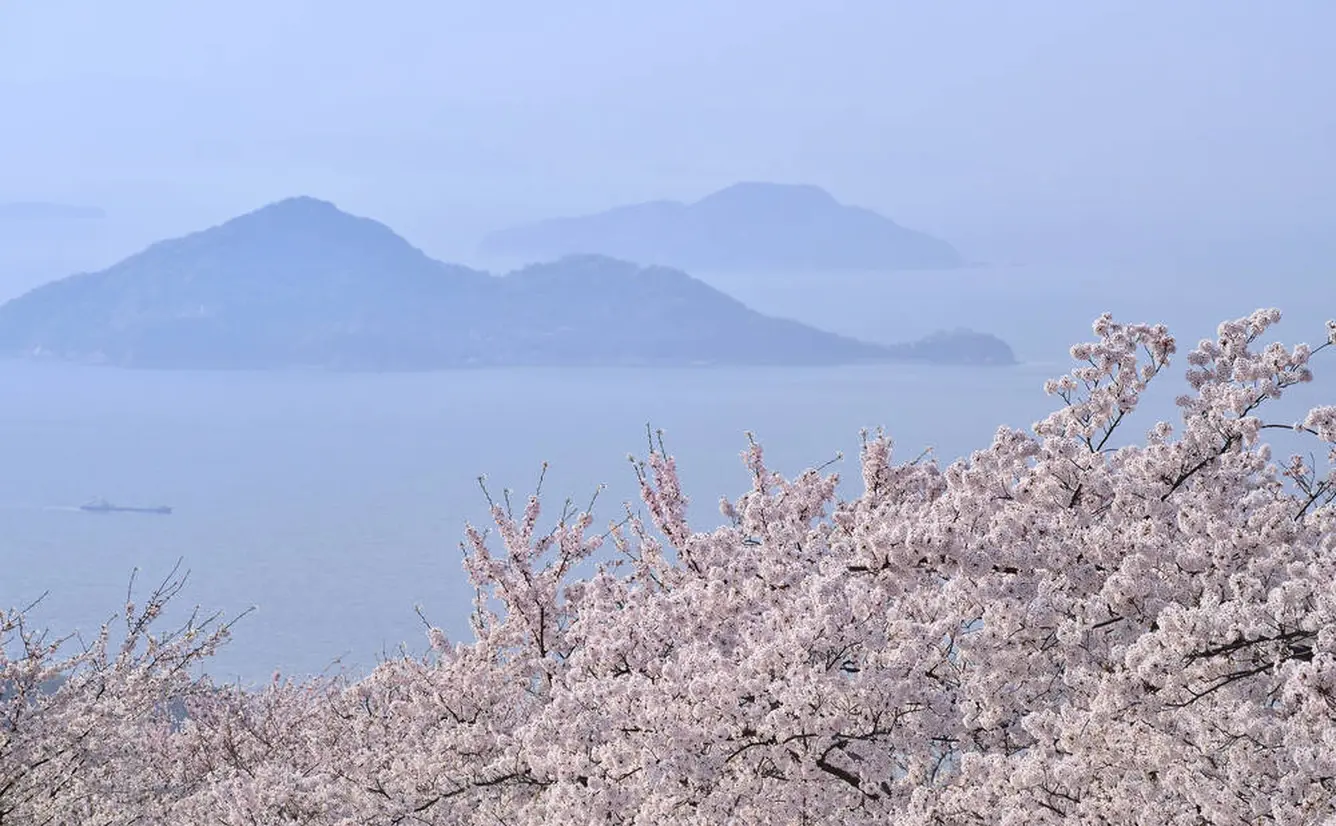 【香川観光】4月はここをチェック！のカバー画像