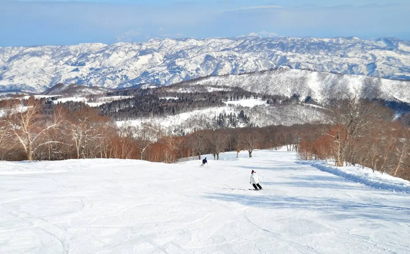 【長野観光】3月はここをチェック！のカバー画像