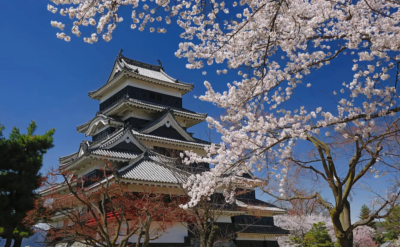 【長野観光】4月はここをチェック！のカバー画像