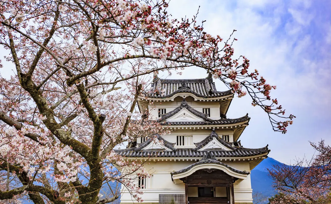 【愛媛観光】3月はここをチェック！のカバー画像