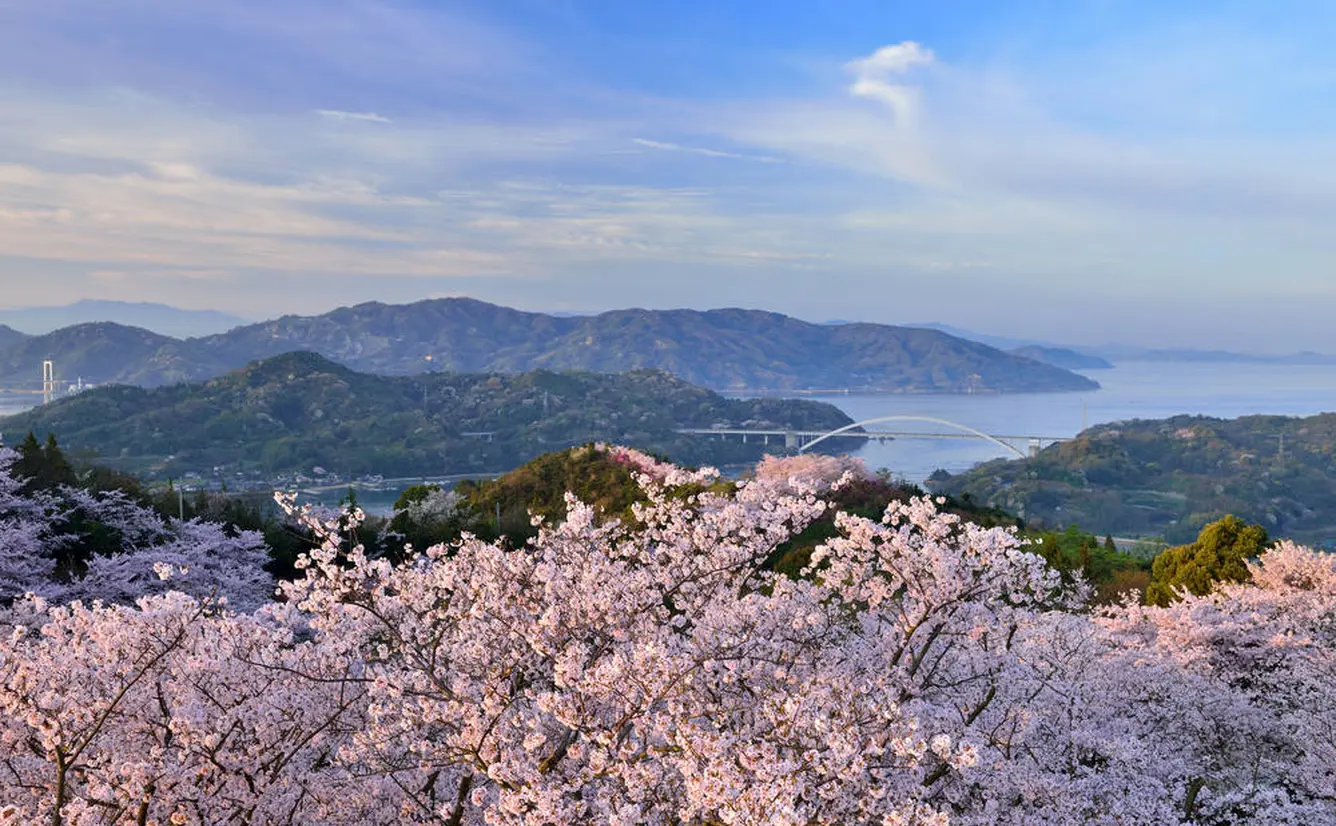 【愛媛観光】4月はここをチェック！のカバー画像