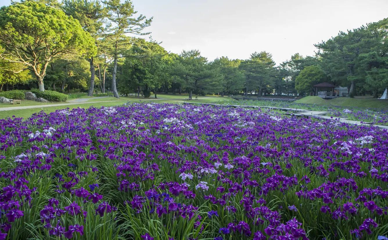 【宮崎観光】5月はここをチェック！のカバー画像