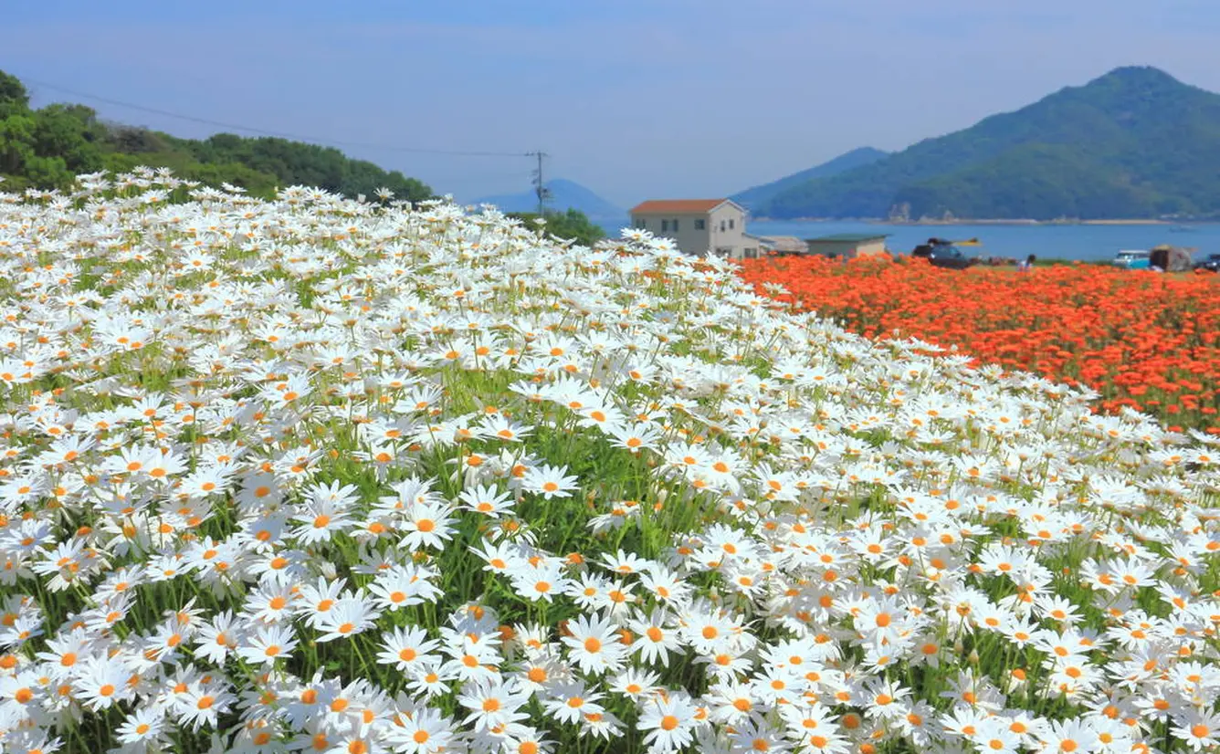 【香川観光】5月はここをチェック！のカバー画像