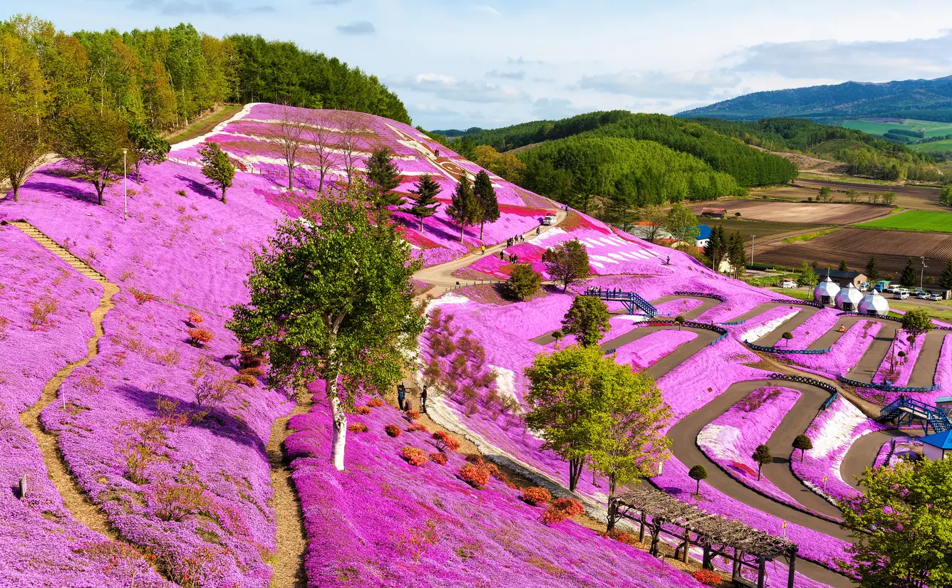 【北海道観光】5月はここをチェック！のカバー画像