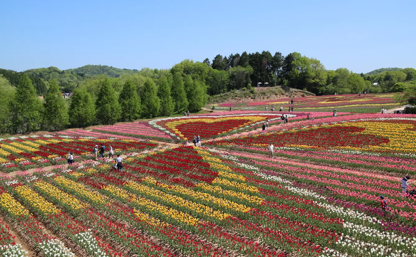 【広島観光】5月はここをチェック！のカバー画像