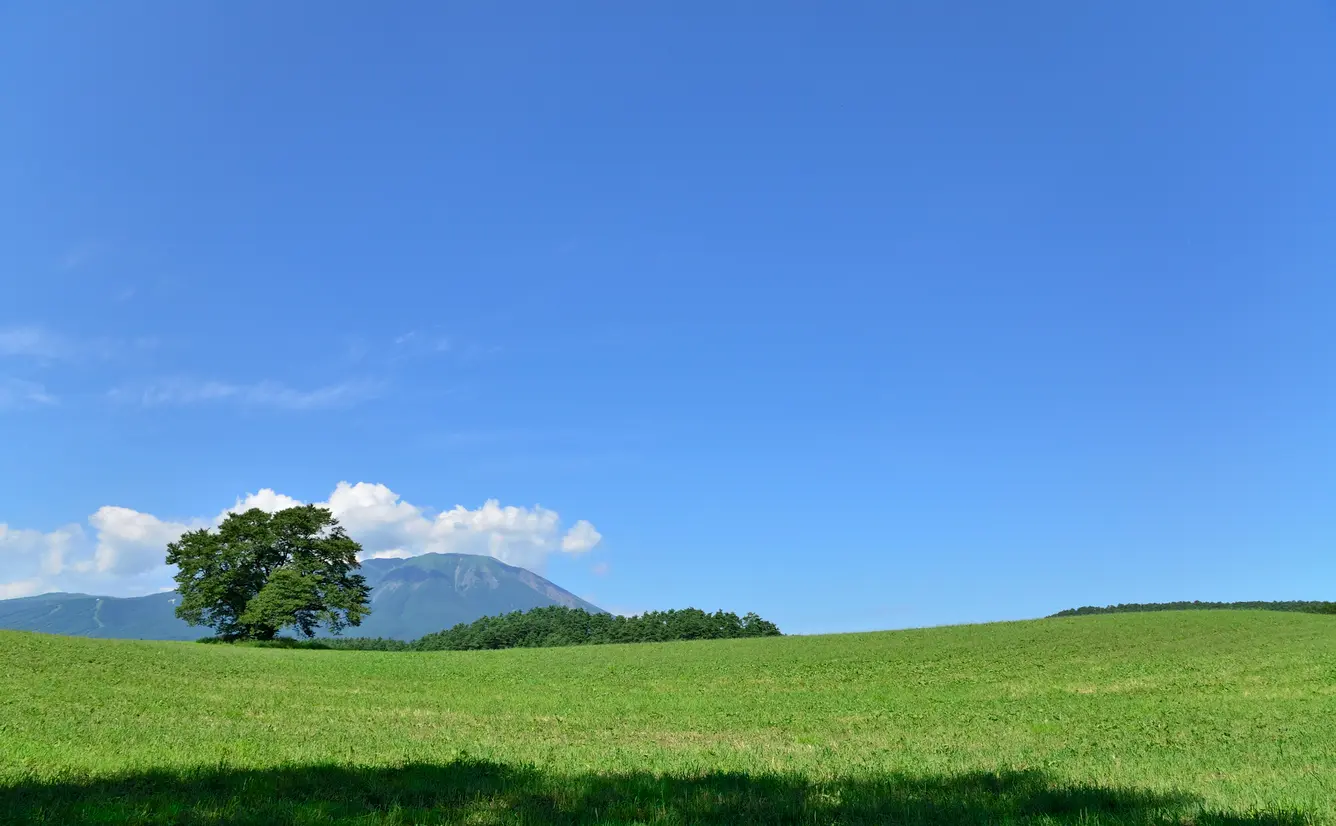 岩手旅行ガイド！人気エリアや見どころ・アクセス情報が満載！のカバー画像