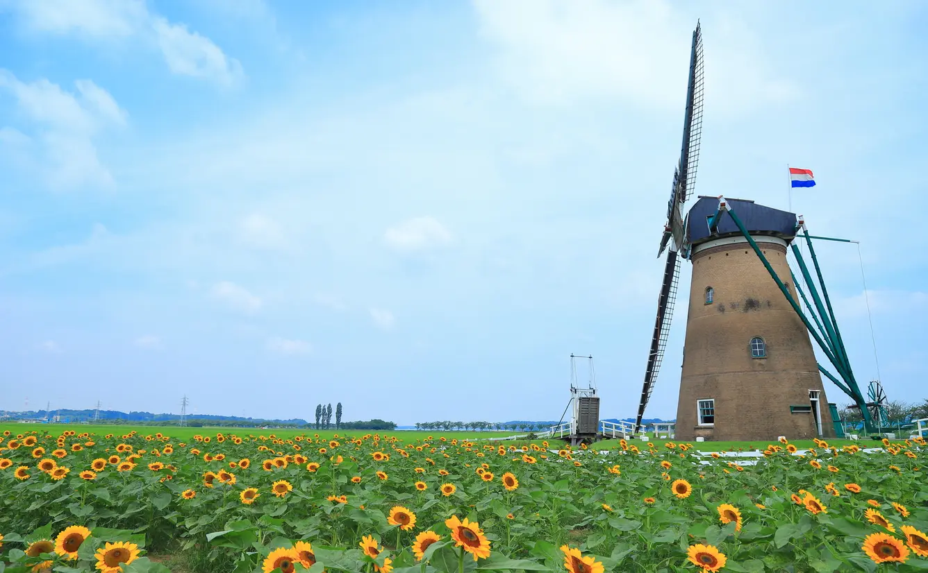 【千葉観光】8月はここをチェック！のカバー画像