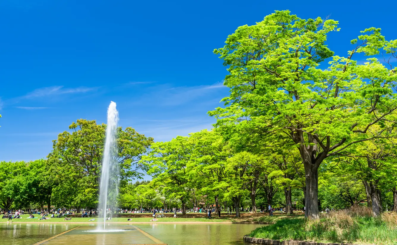 【代々木公園】電車やバスでの行き方をご紹介！のカバー画像