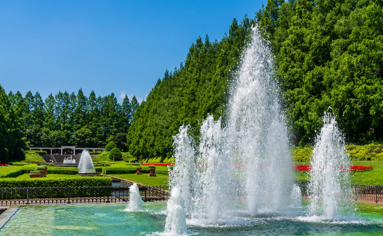 【神奈川】おすすめの公園32選のカバー画像