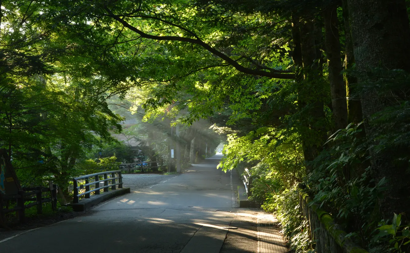 軽井沢旅行ガイド！人気エリアや見どころ・アクセス情報が満載！のカバー画像
