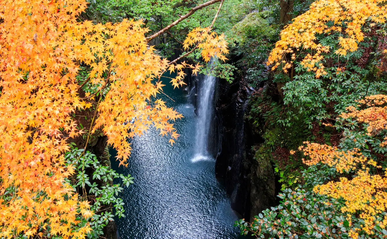 【宮崎観光】10月はここをチェック！のカバー画像