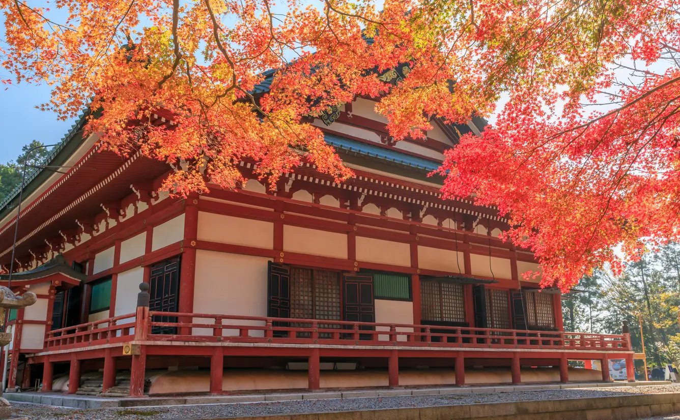 【滋賀観光】10月はここをチェック！のカバー画像