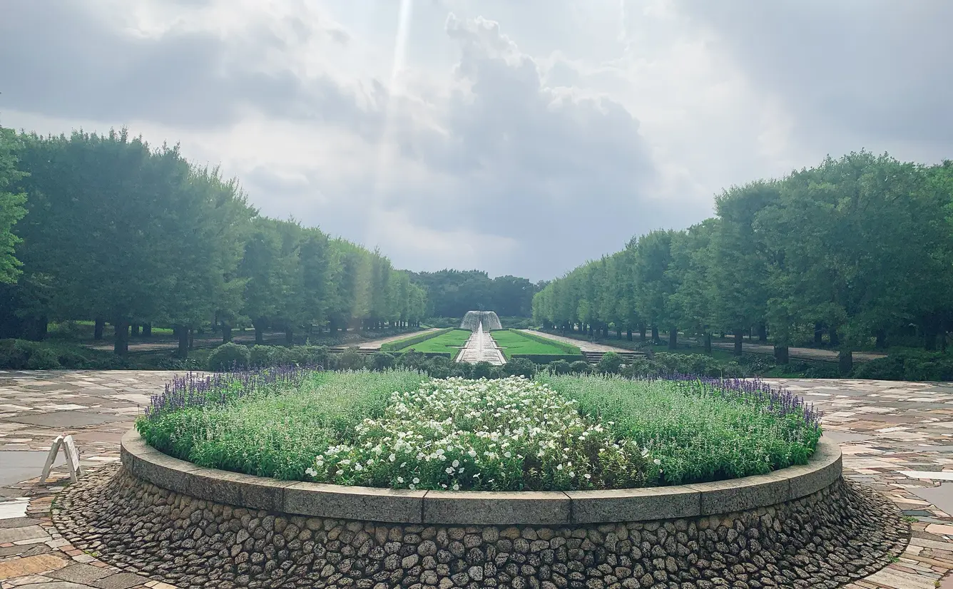 【昭和記念公園】おすすめのスポットをマップ付きで紹介！のカバー画像