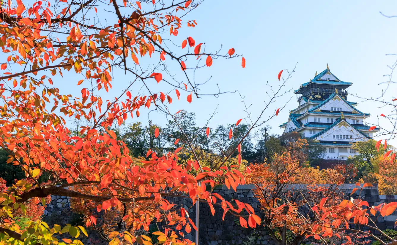 【大阪観光】11月はここをチェック！のカバー画像
