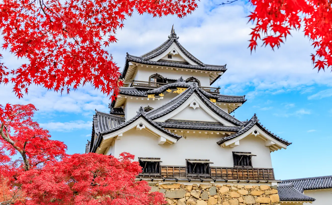 【滋賀観光】11月はここをチェック！のカバー画像