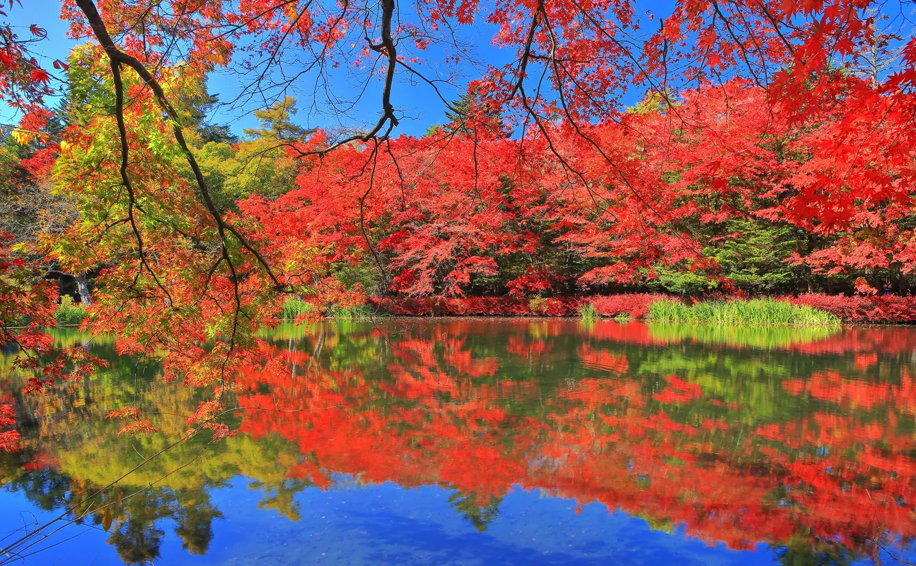 【長野観光】11月はここをチェック！のカバー画像