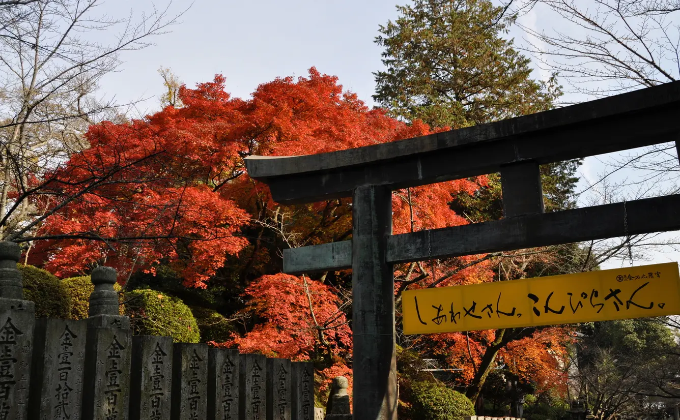 【香川観光】11月はここをチェック！のカバー画像