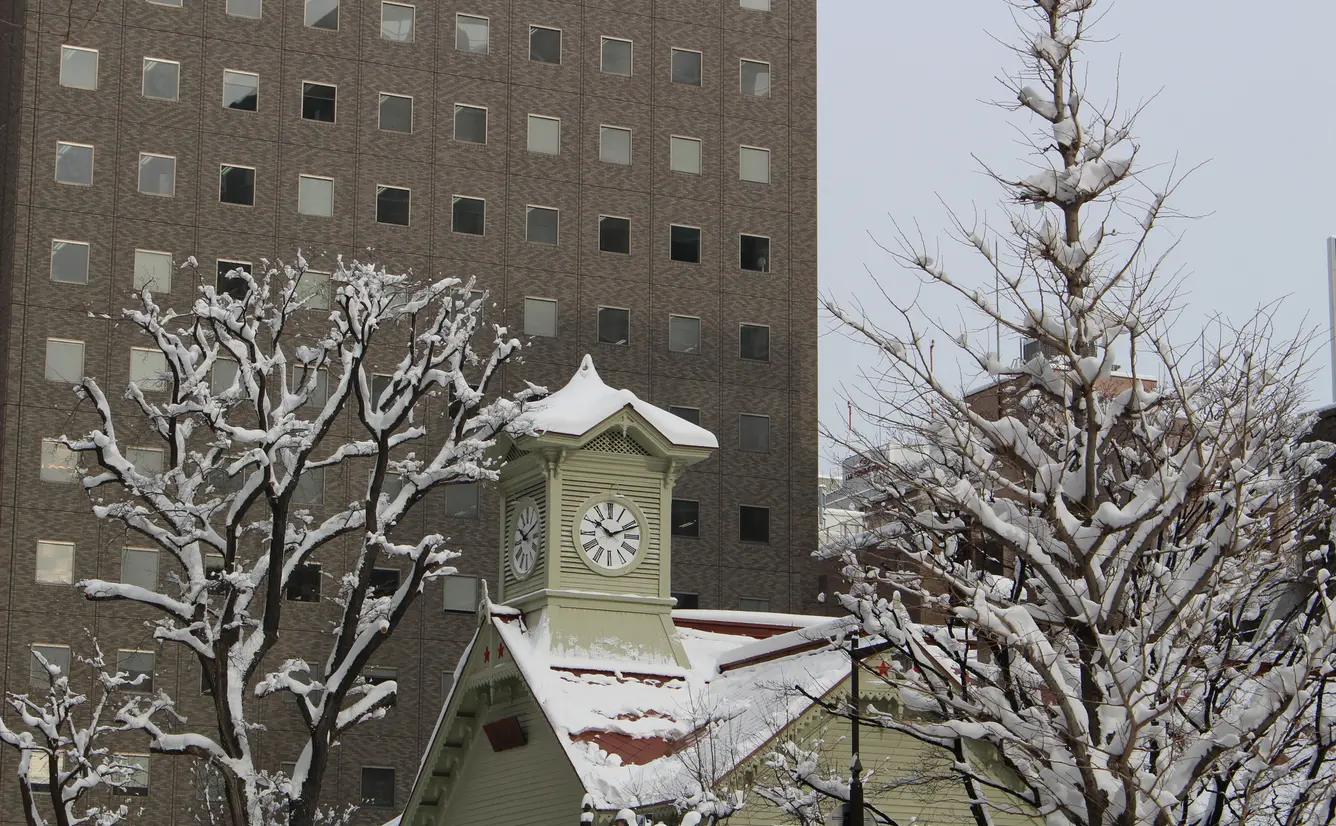 【北海道観光】1月はここをチェック！のカバー画像