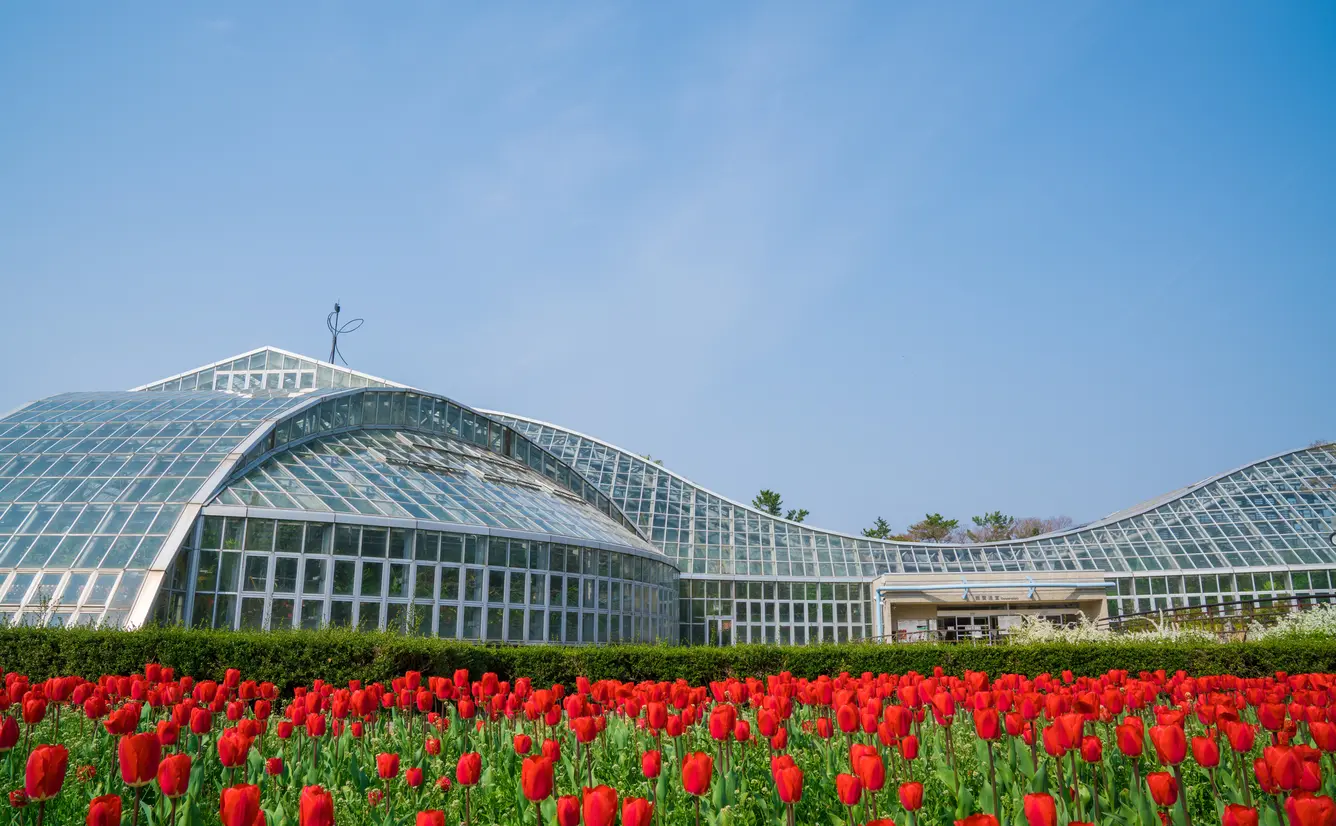 京都でおすすめの植物園10選のカバー画像