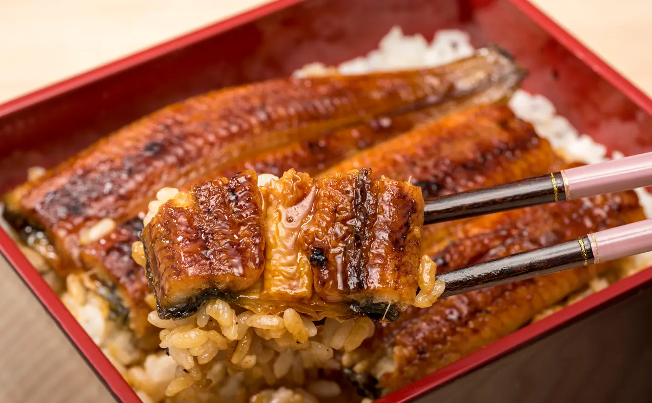 東京でおすすめのうなぎ店58選のカバー画像