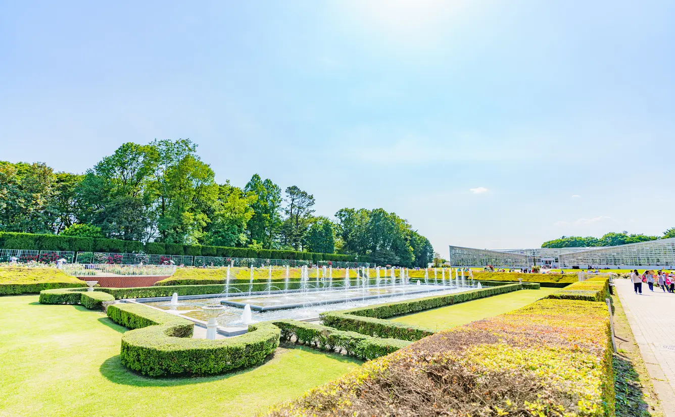 【神代植物公園の楽しみ方完全ガイド】深大寺のすぐ近く！バラが見事な植物公園の見どころ徹底ガイドのカバー画像