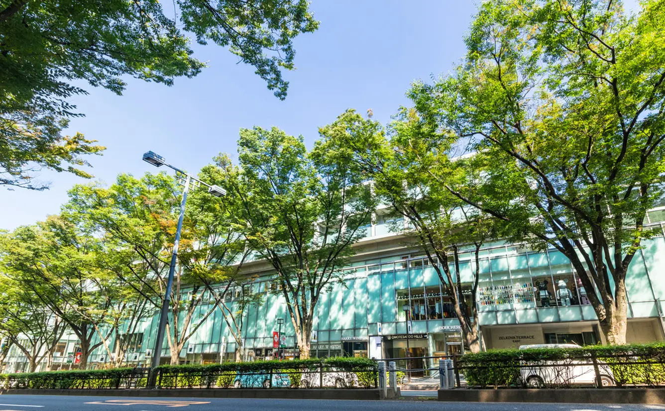 「表参道ヒルズ」の観光ガイド！見どころや周辺情報が満載！のカバー画像