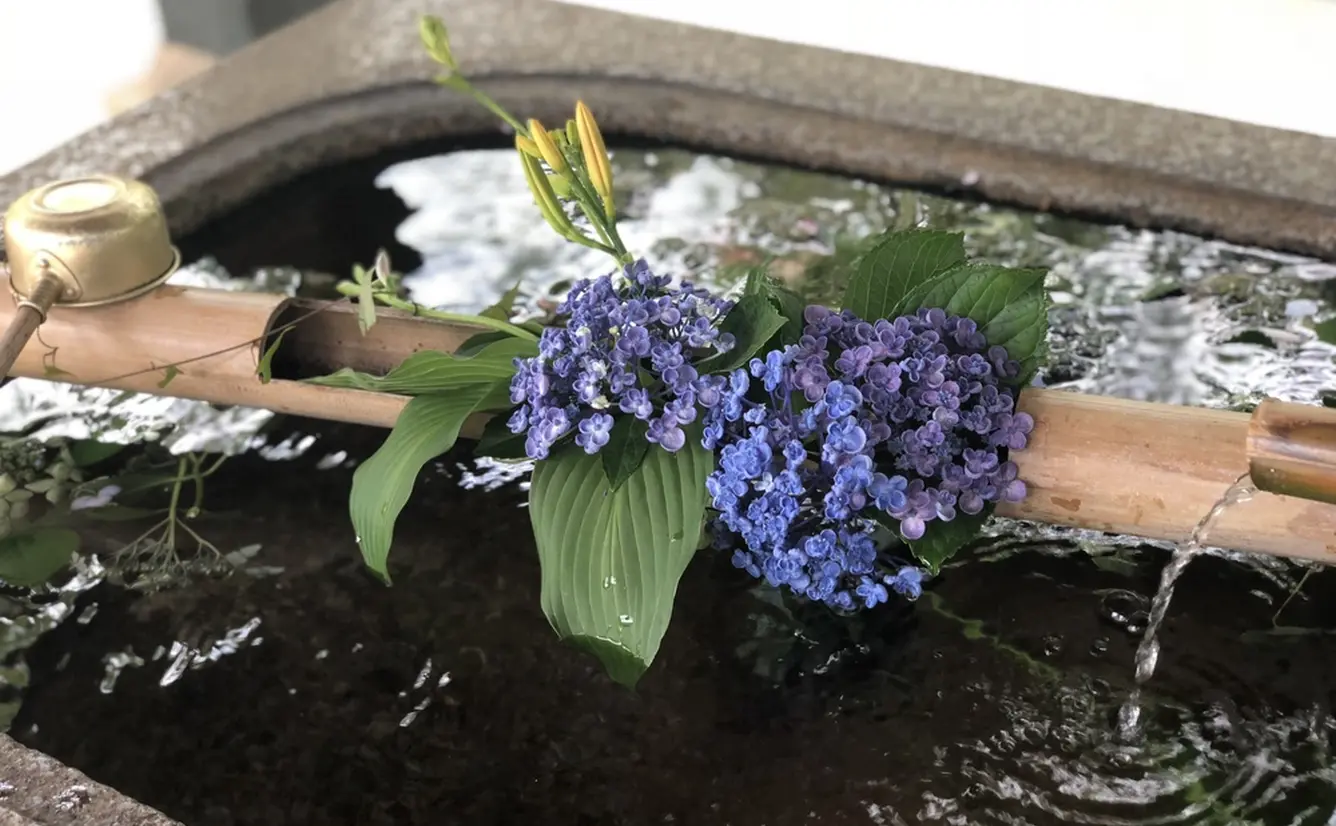 【雨の日も満喫】雨の日だからこそ楽しめる！祇園・東山の歩き方ガイドのカバー画像