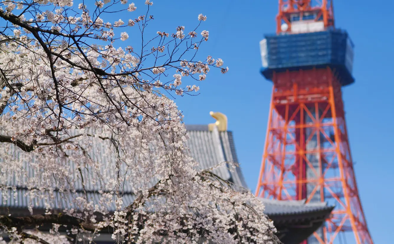 東京旅行ガイド！人気エリアや見どころ・アクセス情報が満載！のカバー画像