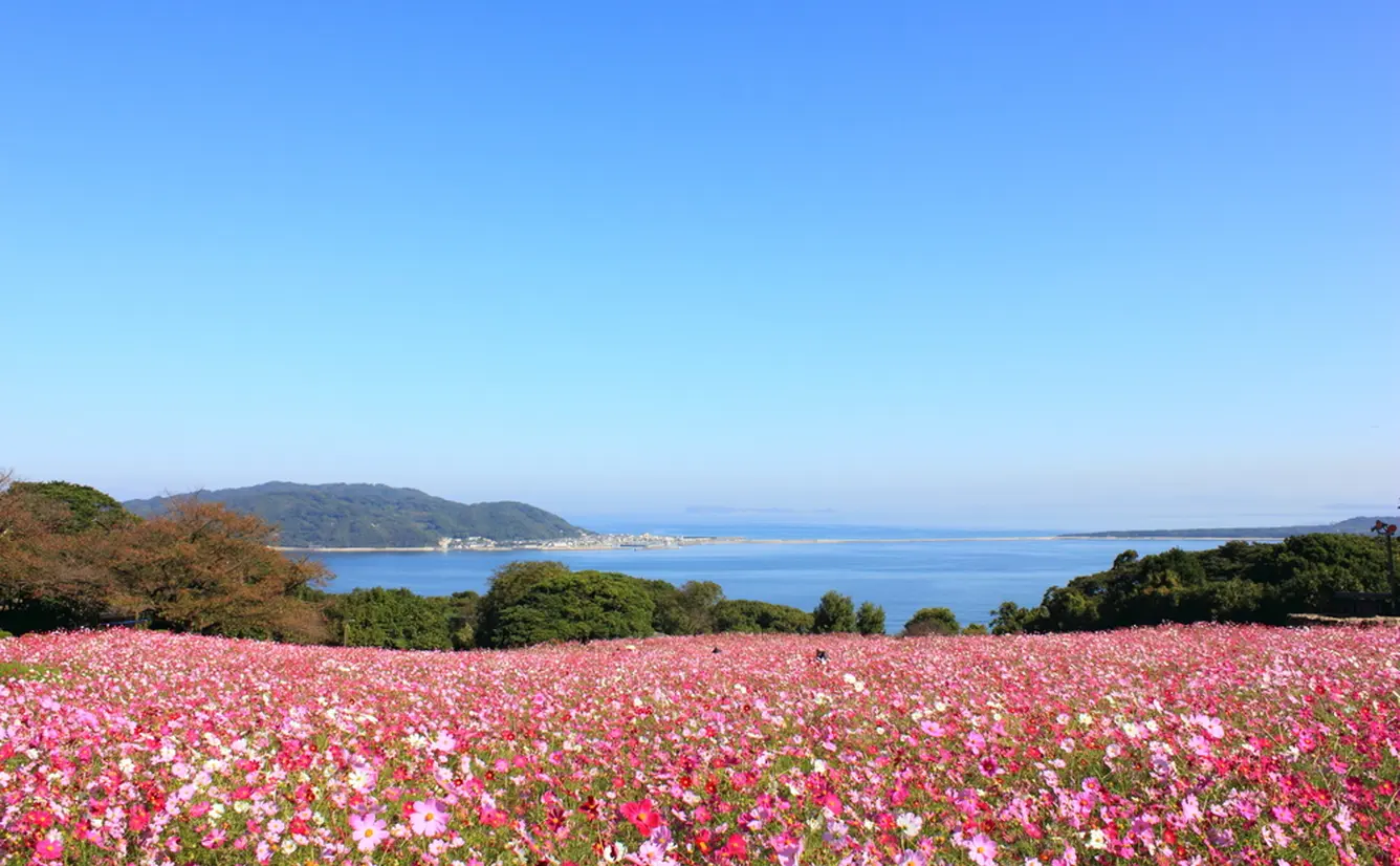 【カップルで行く福岡観光】デートにおすすめの福岡観光スポットを紹介！のカバー画像