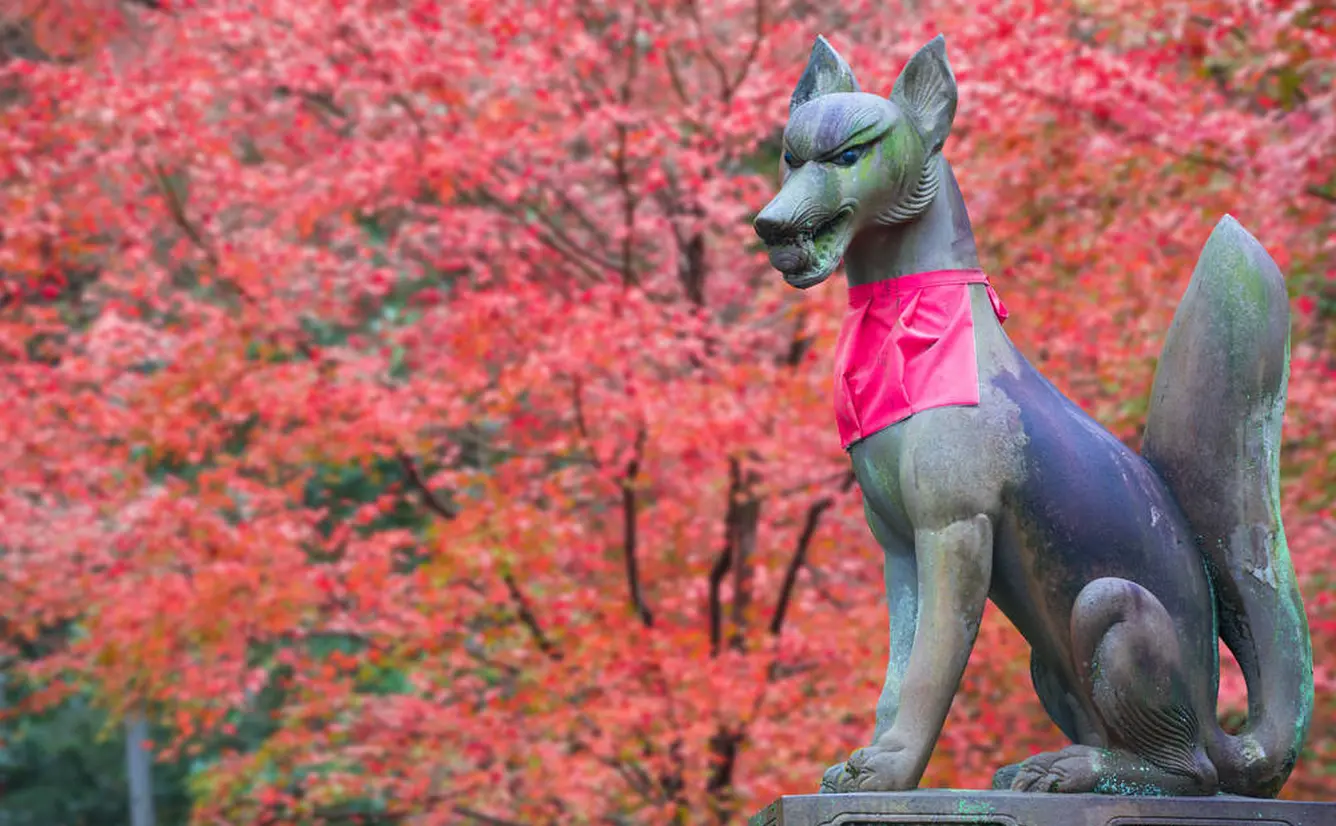 【秋の京都】定番から穴場まで！宇治・伏見の秋におすすめなスポットをご紹介！のカバー画像