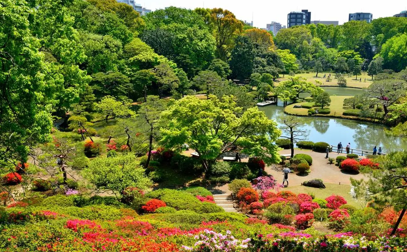 【六義園の楽しみ方完全ガイド】都会で桜や紅葉を贅沢に味わえる！周辺情報も満載のカバー画像