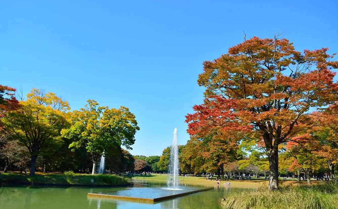 【代々木公園の楽しみ方】ピクニックやドッグラン、デートなど春夏秋冬使えるおすすめ情報をスタッフがご紹介！のカバー画像