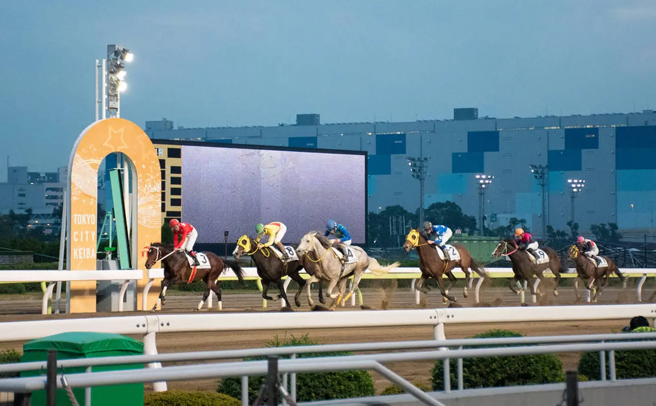【大井競馬場の楽しみ方完全ガイド】競馬場グルメや季節イベントを楽しめる大人の遊び場！のカバー画像