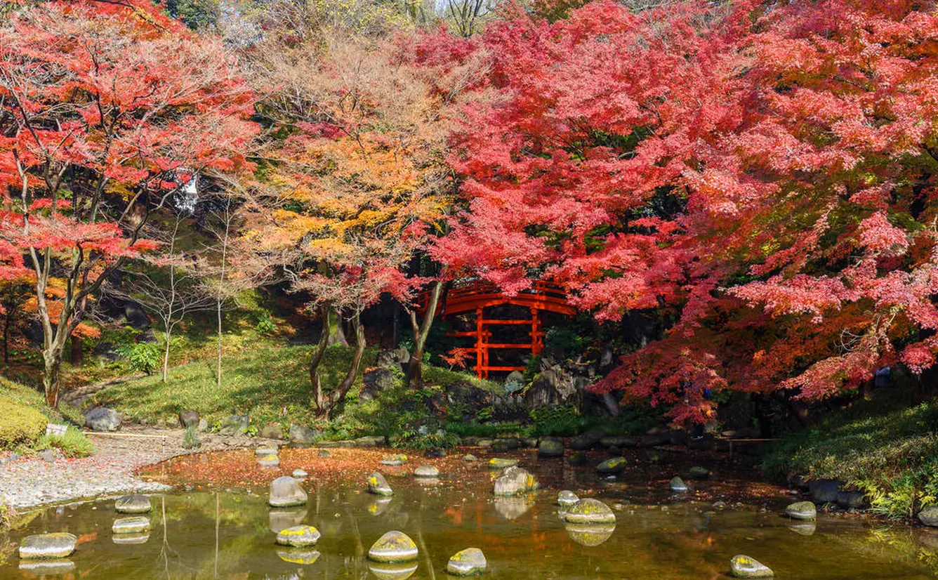 【小石川後楽園の楽しみ方完全ガイド】歴史ある都立庭園で四季折々の草花を楽しむ！のカバー画像
