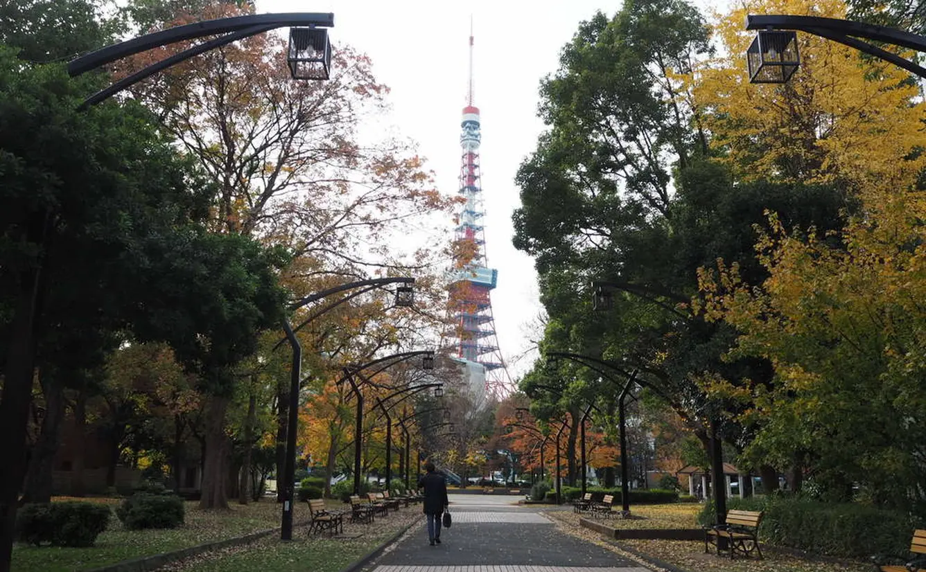 【芝公園の楽しみ方完全ガイド】東京タワーフォトスポットや周辺ランチ情報が満載！のカバー画像