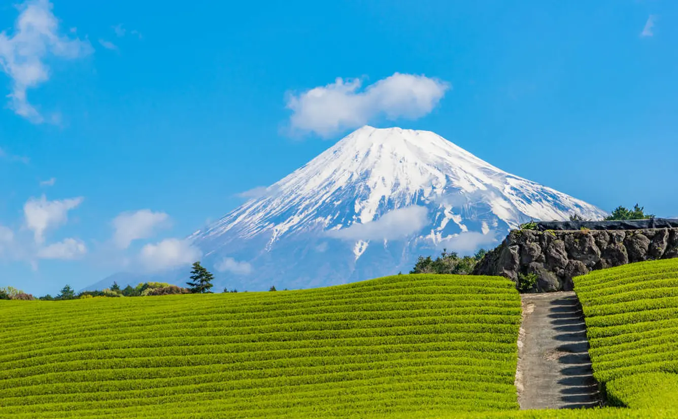 【静岡県観光スポット紹介】動物や自然に触れ合えるスポットから絶景スポットまでおすすめスポット30選のカバー画像