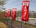 柿の郷くどやまの写真_133687