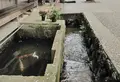 がいせん桜通りの写真_27074