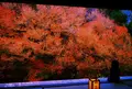 但馬安国寺の写真_182147
