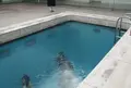 金沢21世紀美術館の写真_78917