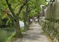 八幡川緑地の写真_146253