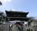 琴平山の写真_189320