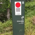 宇治茶の郷　和束の茶畑の写真_76519