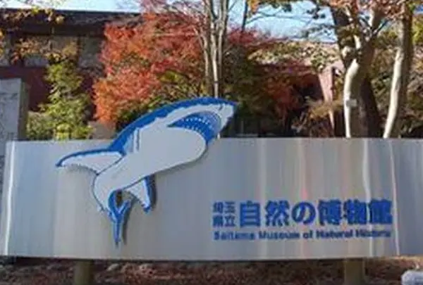 埼玉県立自然の博物館