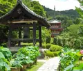 三室戸寺の写真_27375