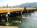 宇治橋の写真_132697