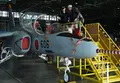 岐阜基地航空祭の写真_75098