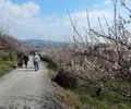 新舞子海水浴場の写真_63894