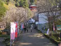 岐阜公園の写真_27021